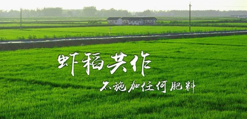 640.webp (3).jpg 640.webp (3).jpg