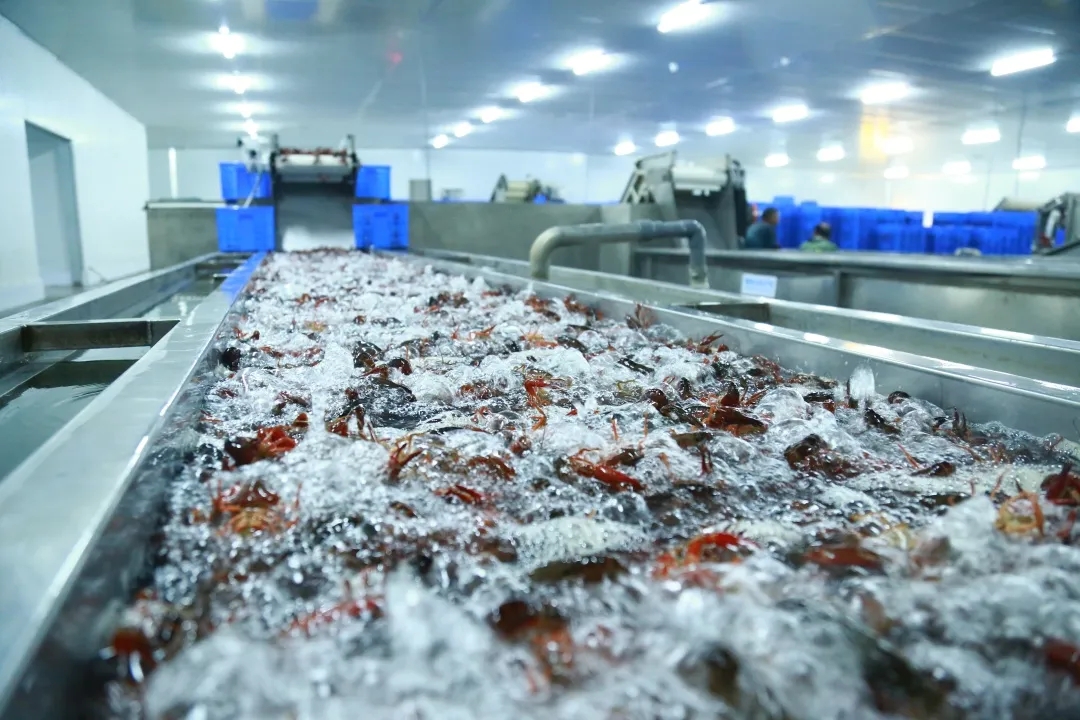 640.webp (5).jpg 640.webp (5).jpg