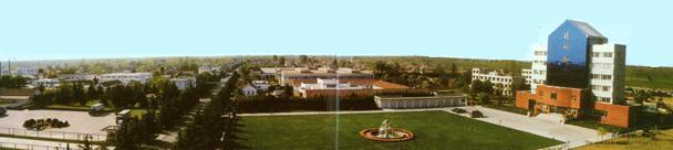 得利斯.jpg 得利斯.jpg